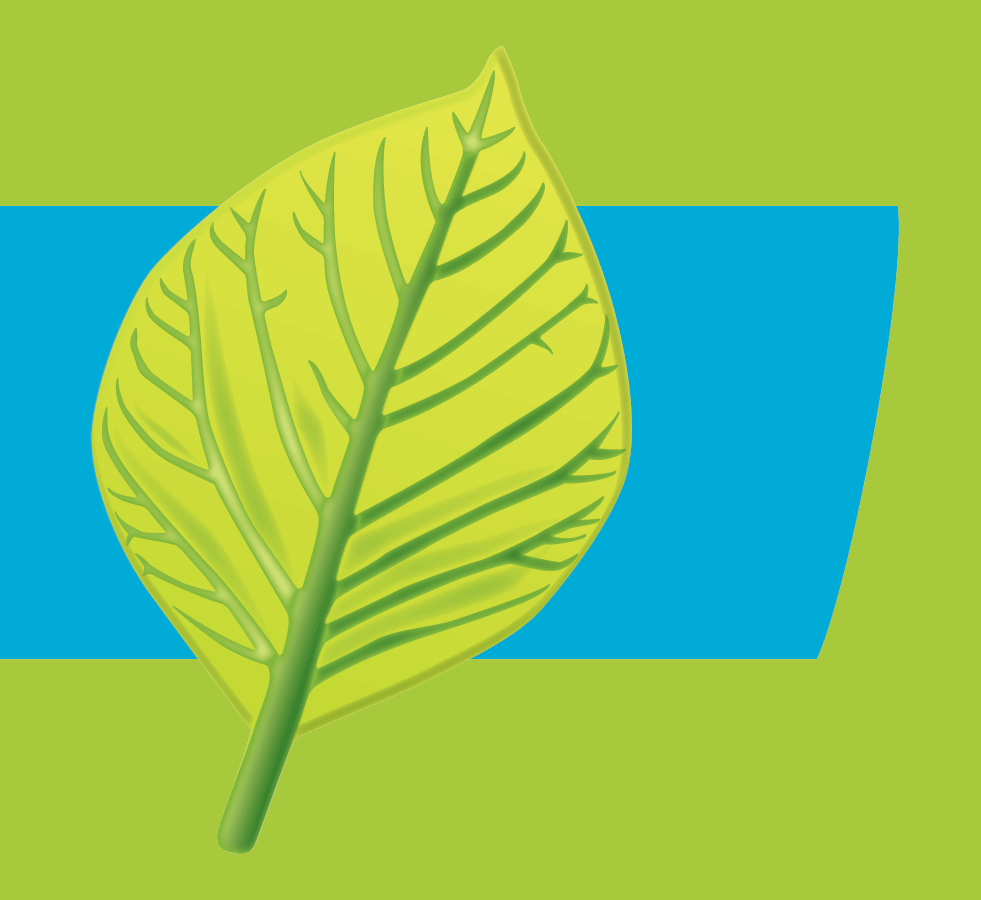 Logo Biomed PhytoResearch gUG